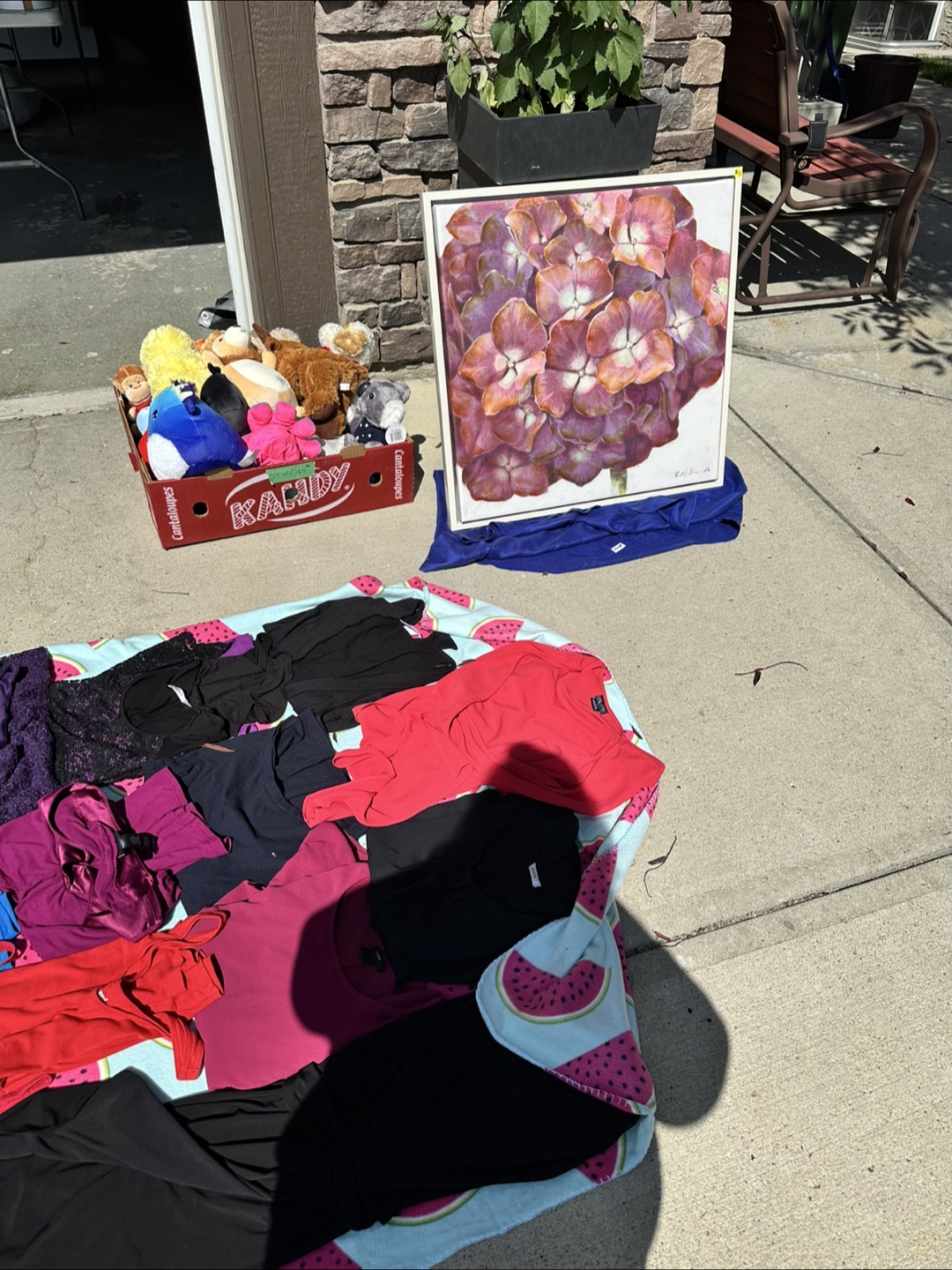 Garage Sale Panorama Hills - photo 3