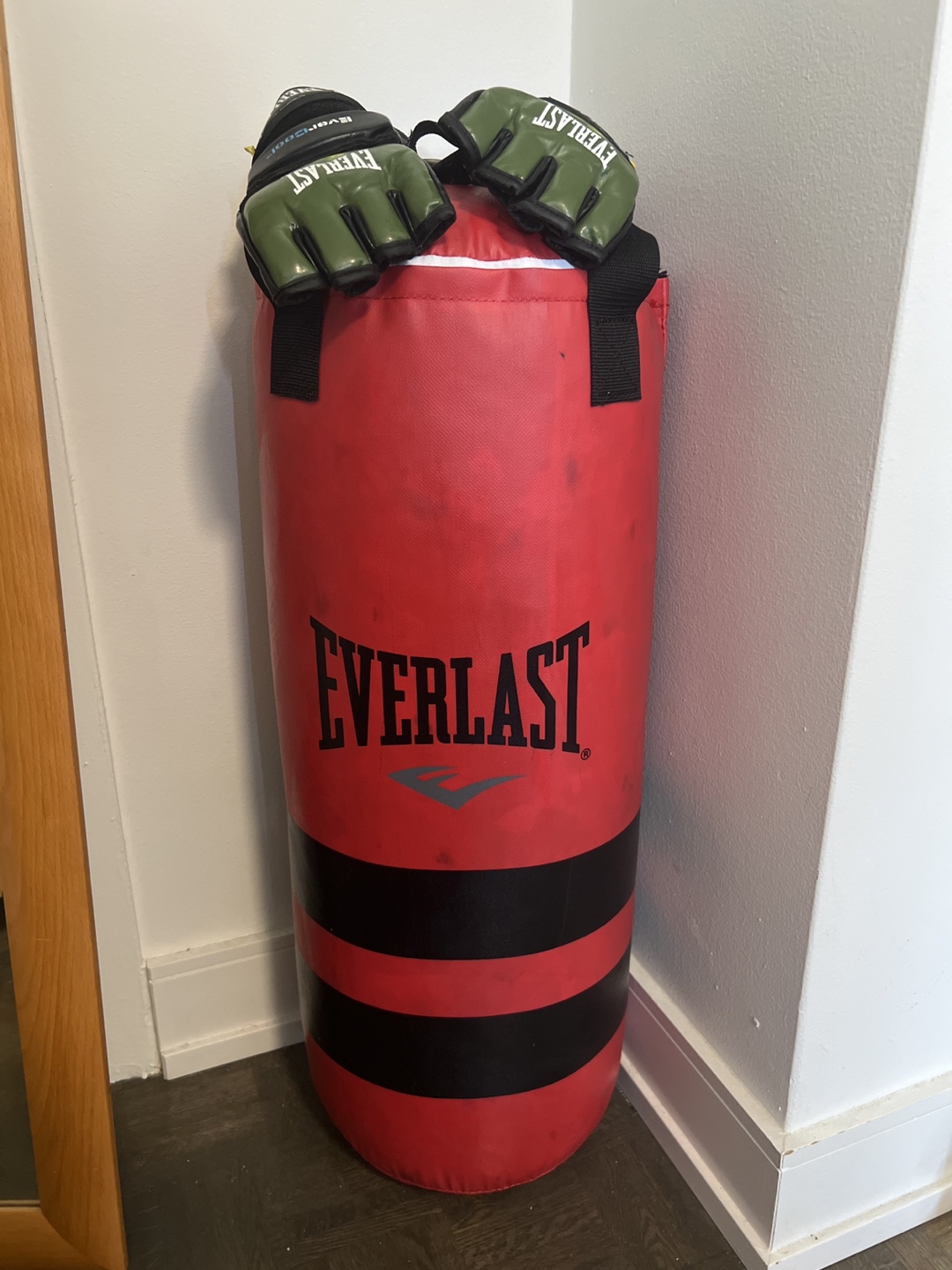 Everlast Punching Bag with Gloves
