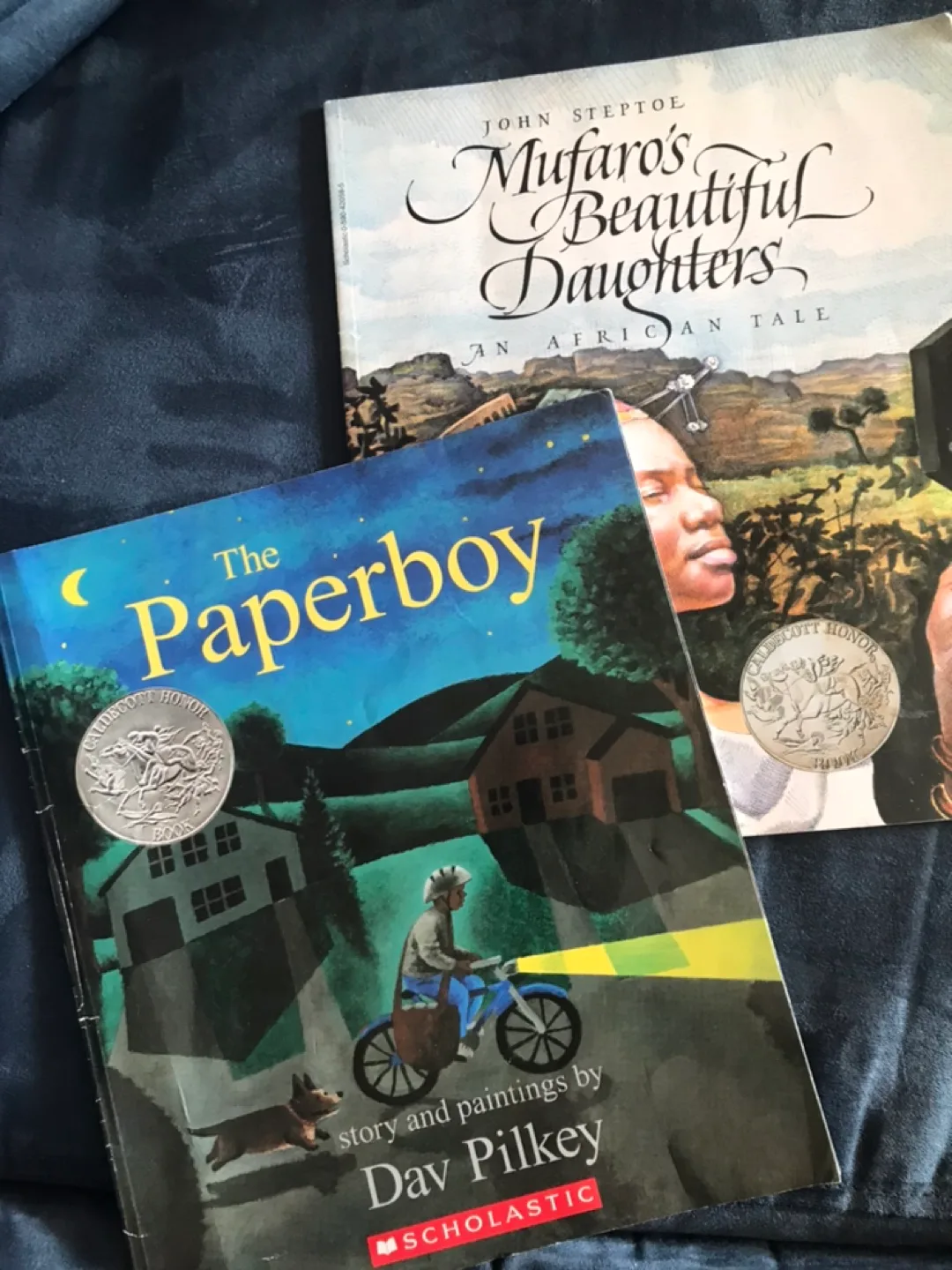 Children's Books: The Paperboy & Mufaro's Beautiful Daughters thumbnail