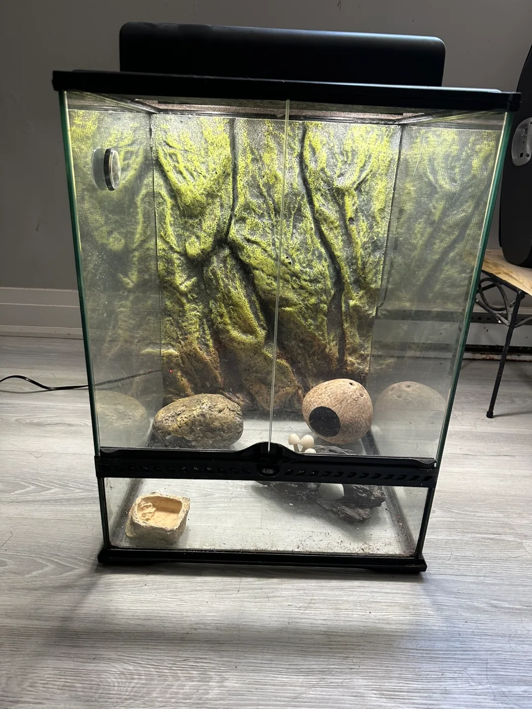 Terrarium Enclosure thumbnail