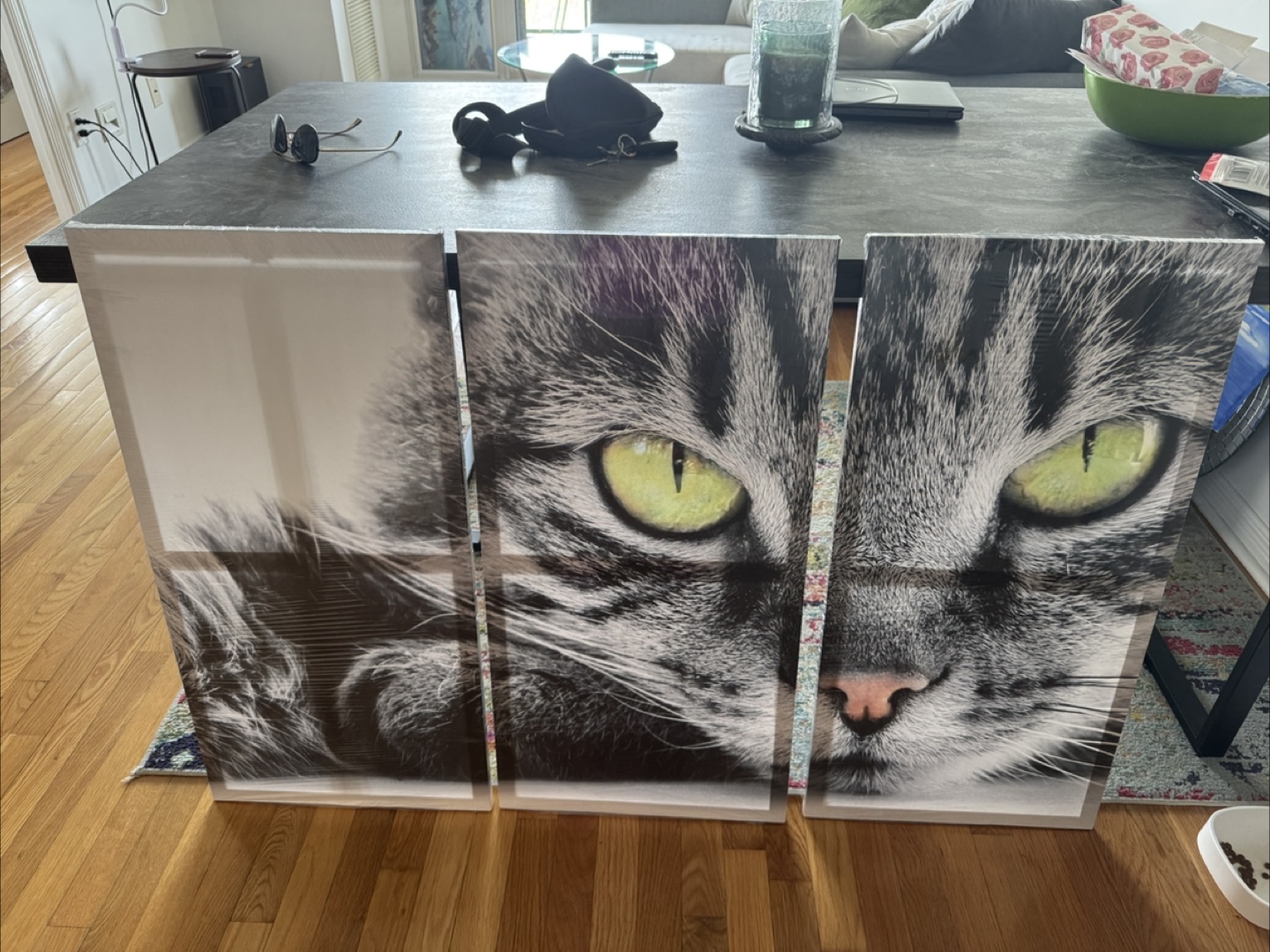 Cat Face Canvas Wall Art - 3 Panels