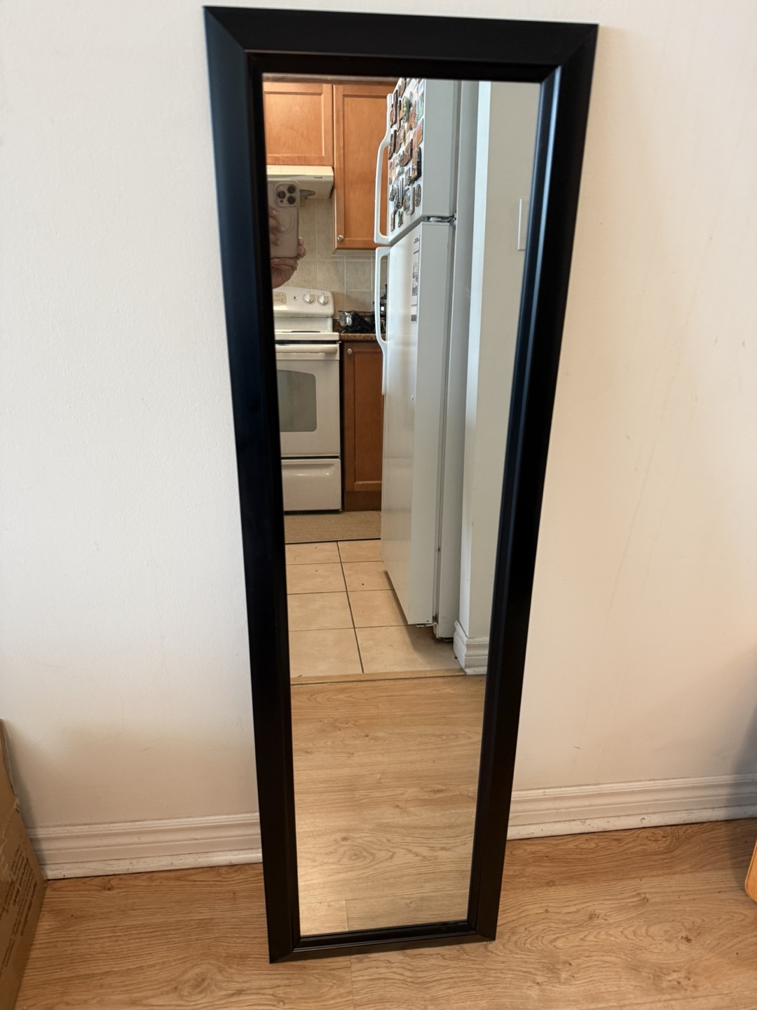 Black Framed Full Length Mirror - photo 3