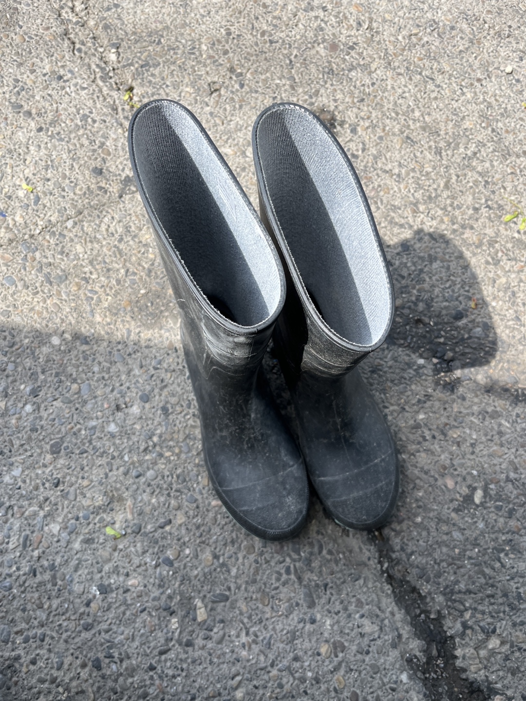 Rain boots size 9