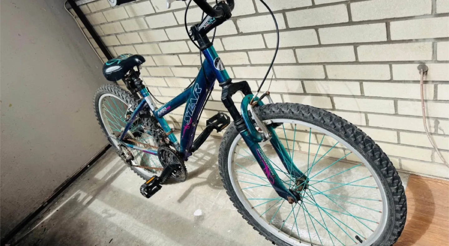 Star Avigo Mountain Bike