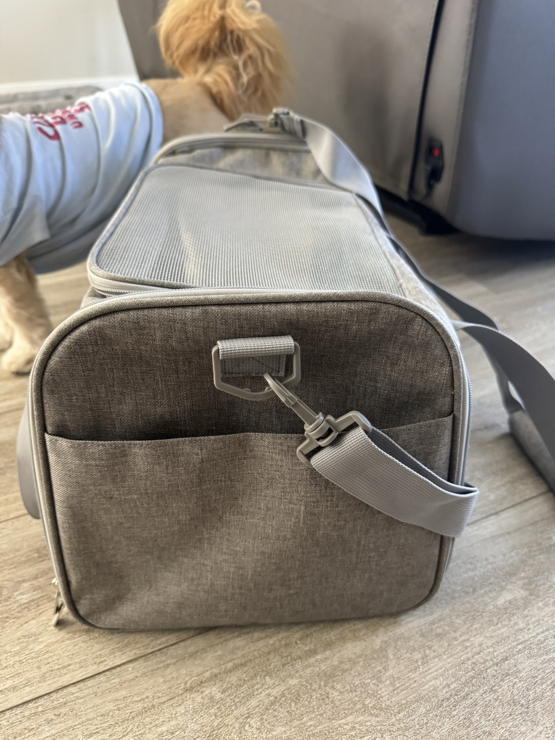 Pet Carrier - photo 4