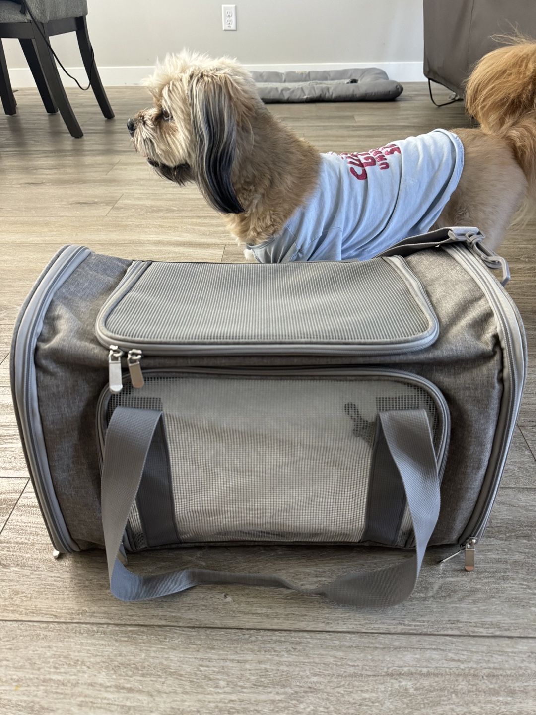 Pet Carrier