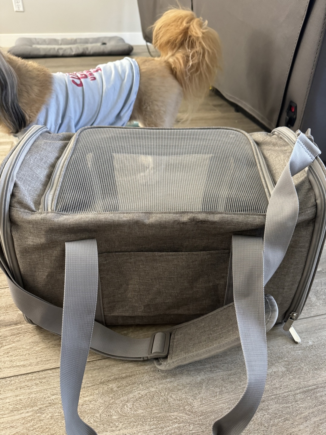 Pet Carrier - photo 3
