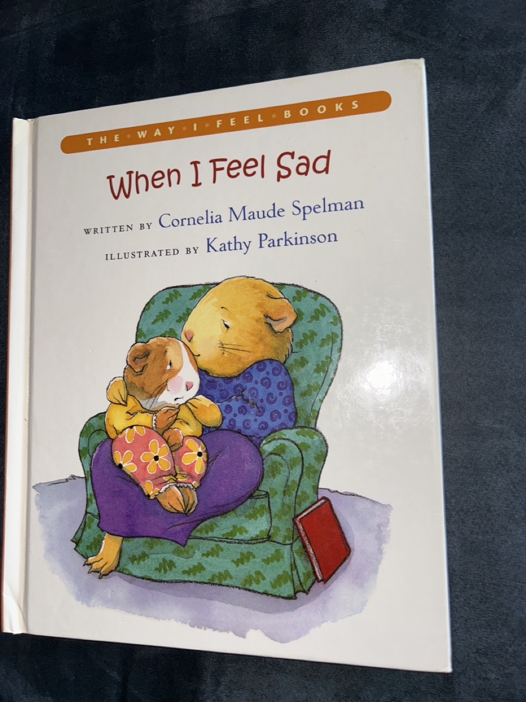 Kids' hardcover Books Lot: Berenstain Bears, Paddington & More - photo 3