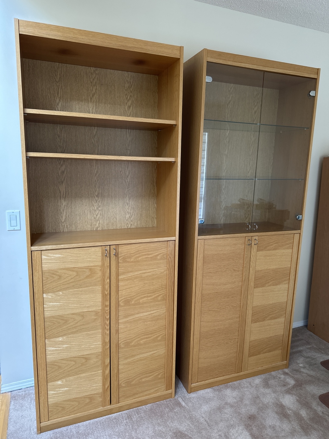 Laminate Bookcases with Doors (Set of 2)