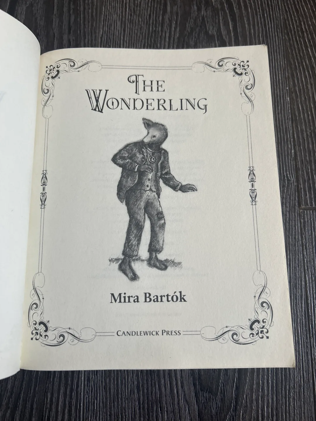 The wonderling by Mira Barton image indicator(3)