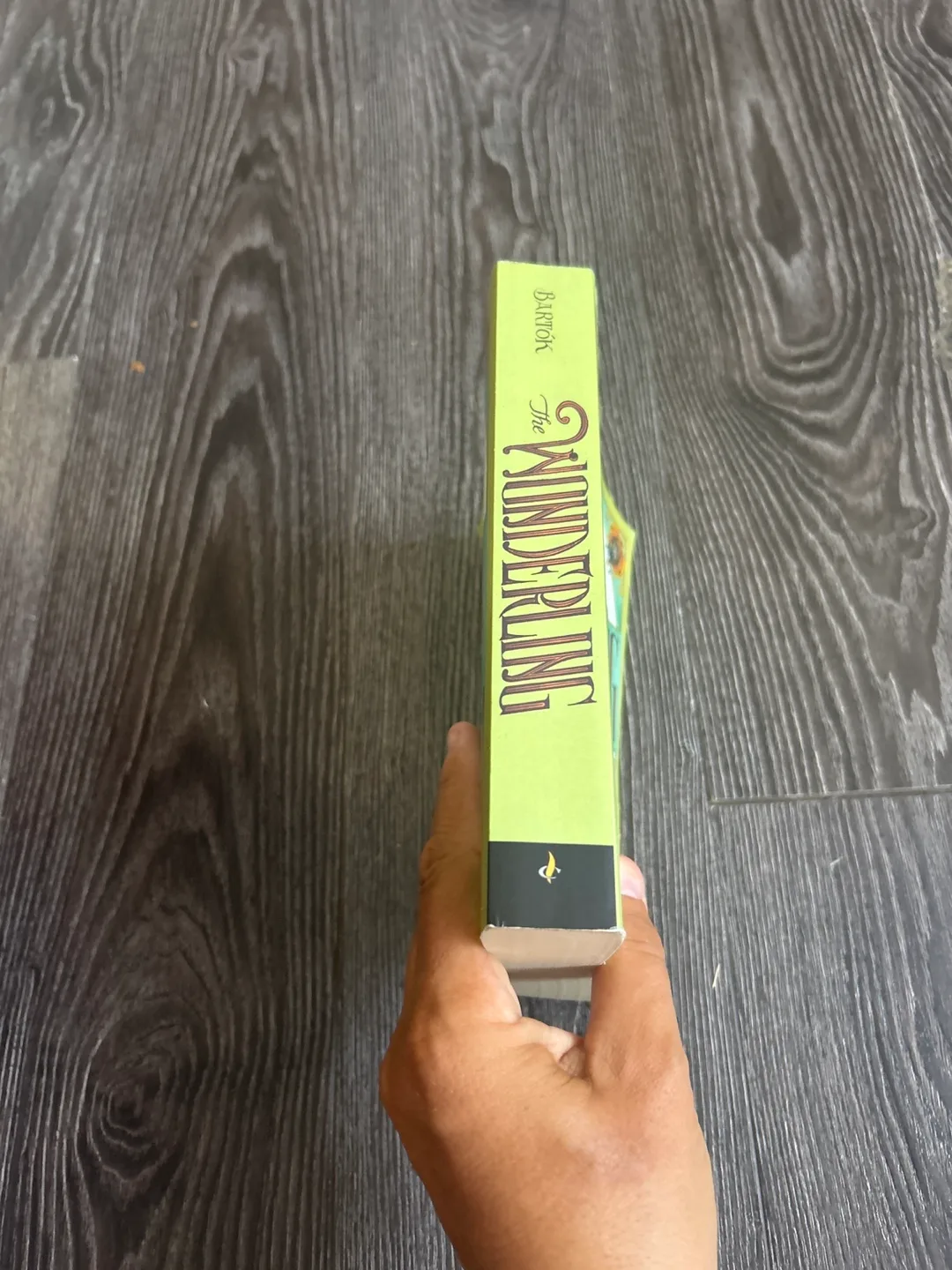 The wonderling by Mira Barton image indicator(2)