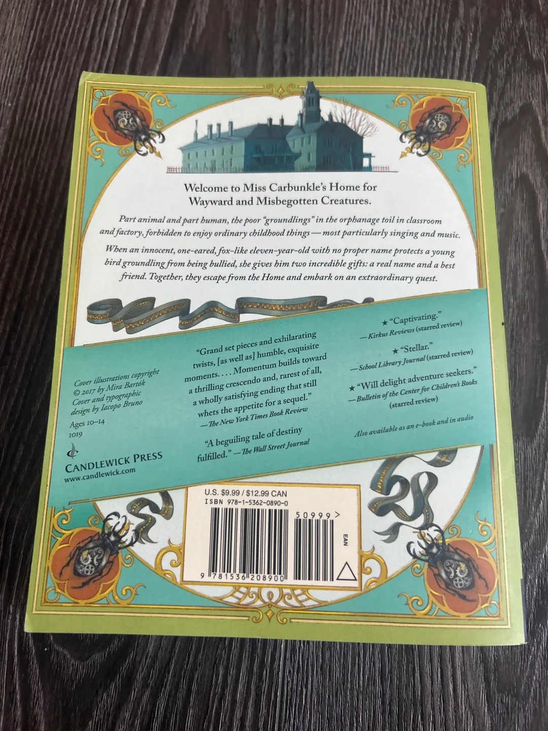 The wonderling by Mira Barton image indicator(6)