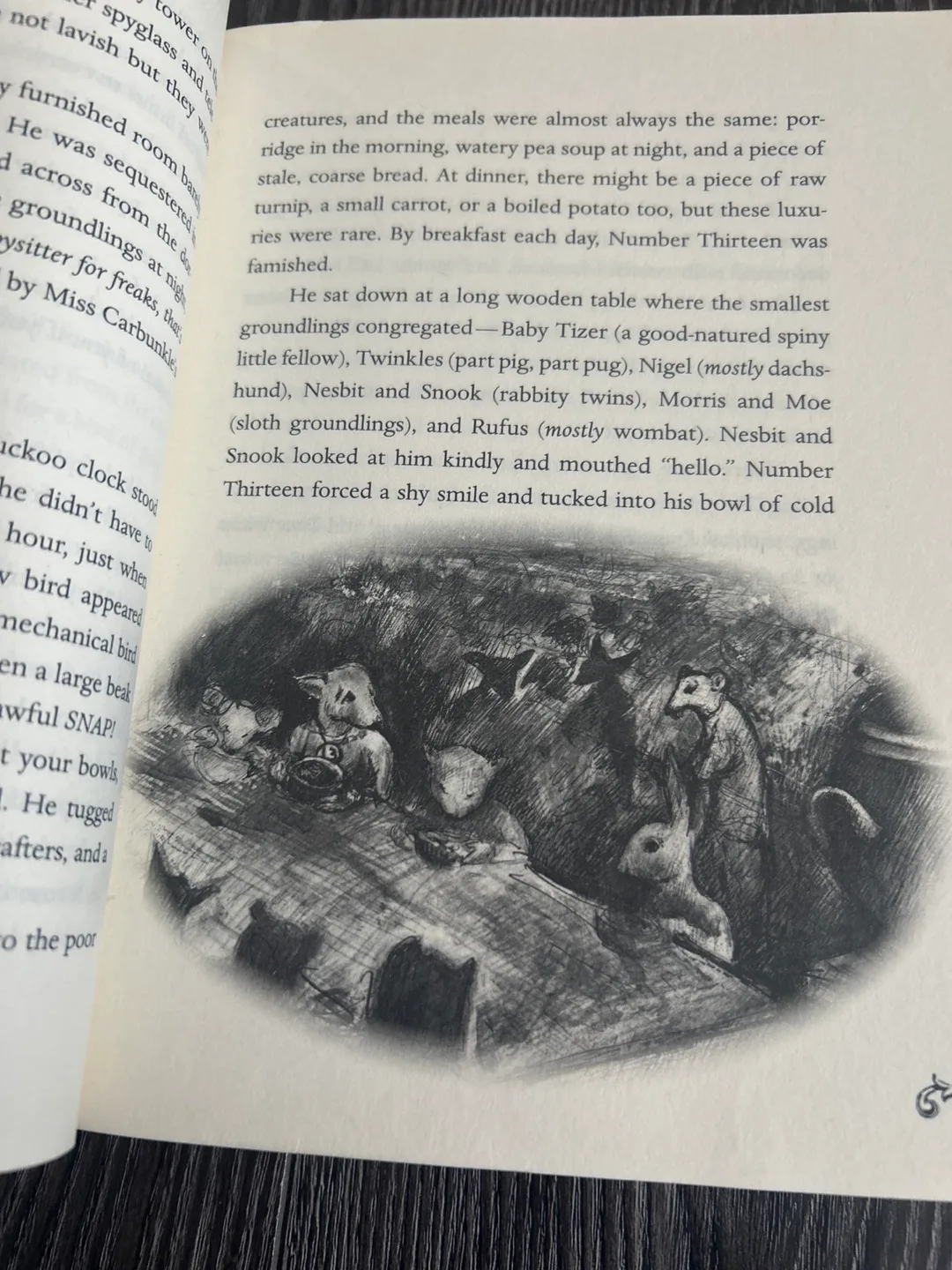 The wonderling by Mira Barton image indicator(4)