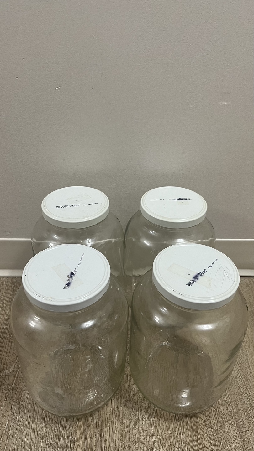 Glass Jars with Lids - photo 2