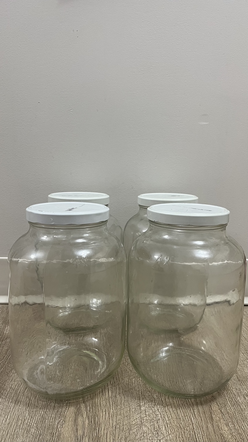 Glass Jars with Lids