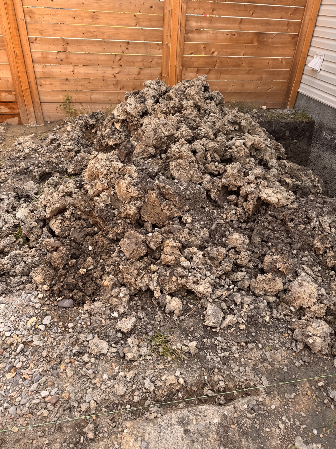 Free Soil