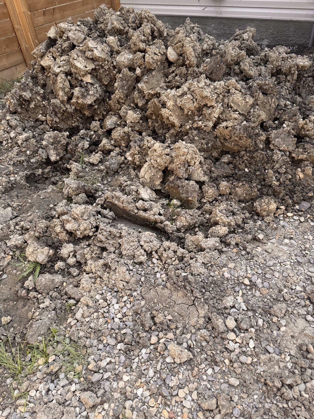 Free Soil - photo 2