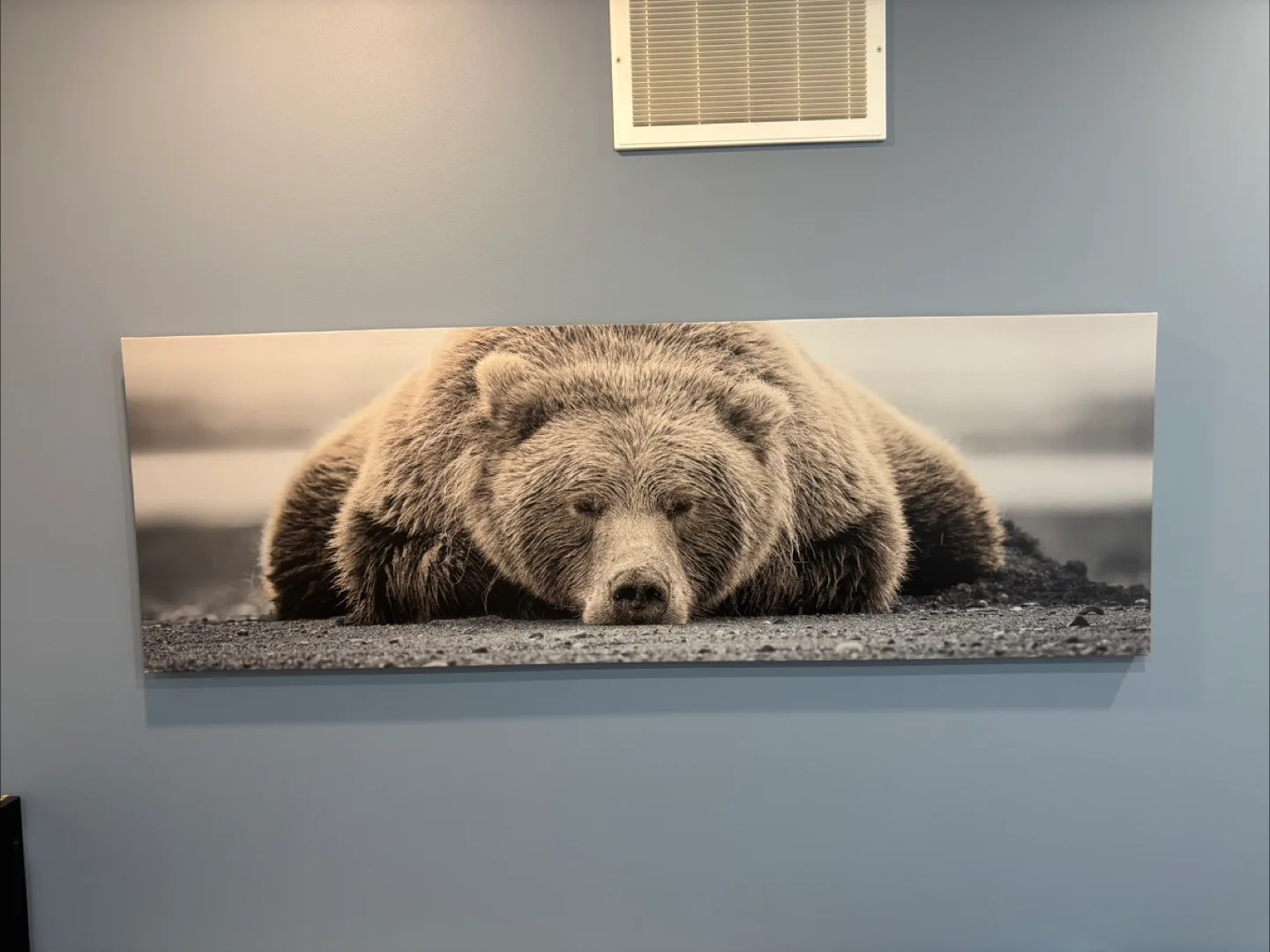 Bear Wall Art thumbnail