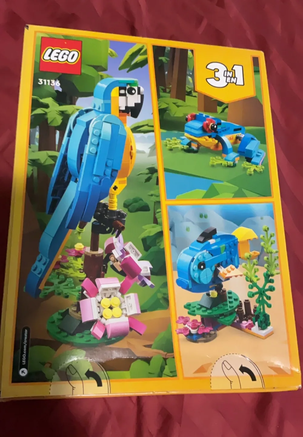 LEGO Creator 3in1 Exotic Parrot 31136 image indicator(2)