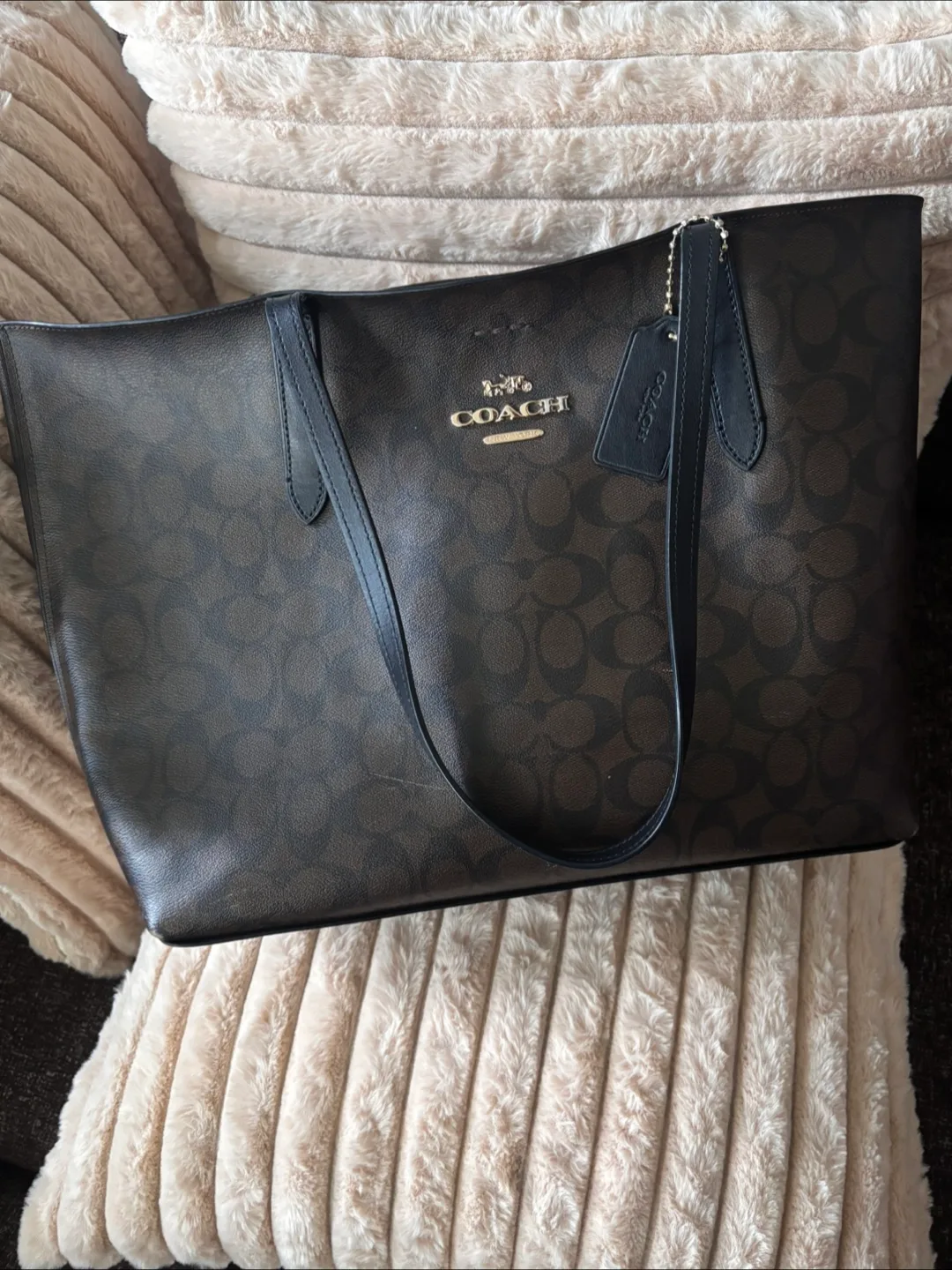 Coach City Tote Bag In Signature Canvas thumbnail