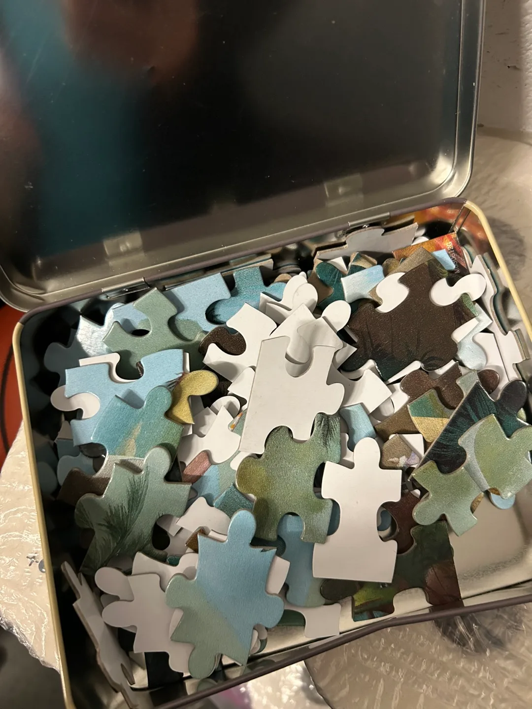 Dinosaurs 100 Piece Puzzle thumbnail