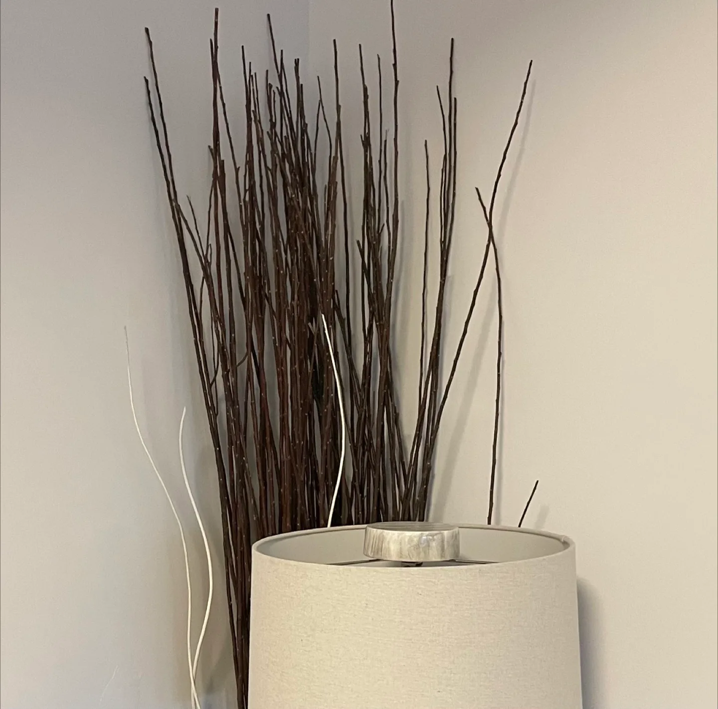 Home Decor: Decorative Branches thumbnail
