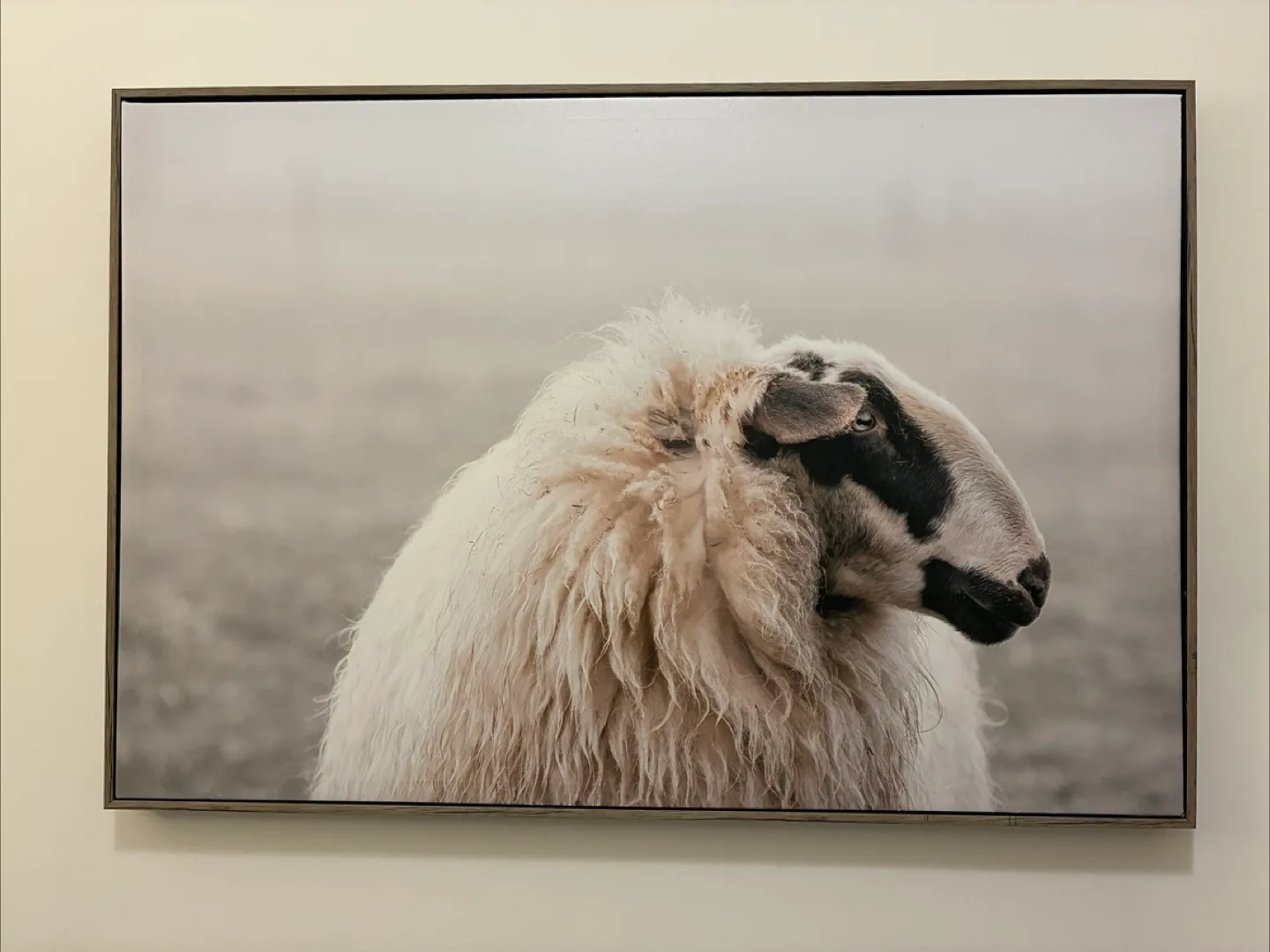 Large canvas print thumbnail