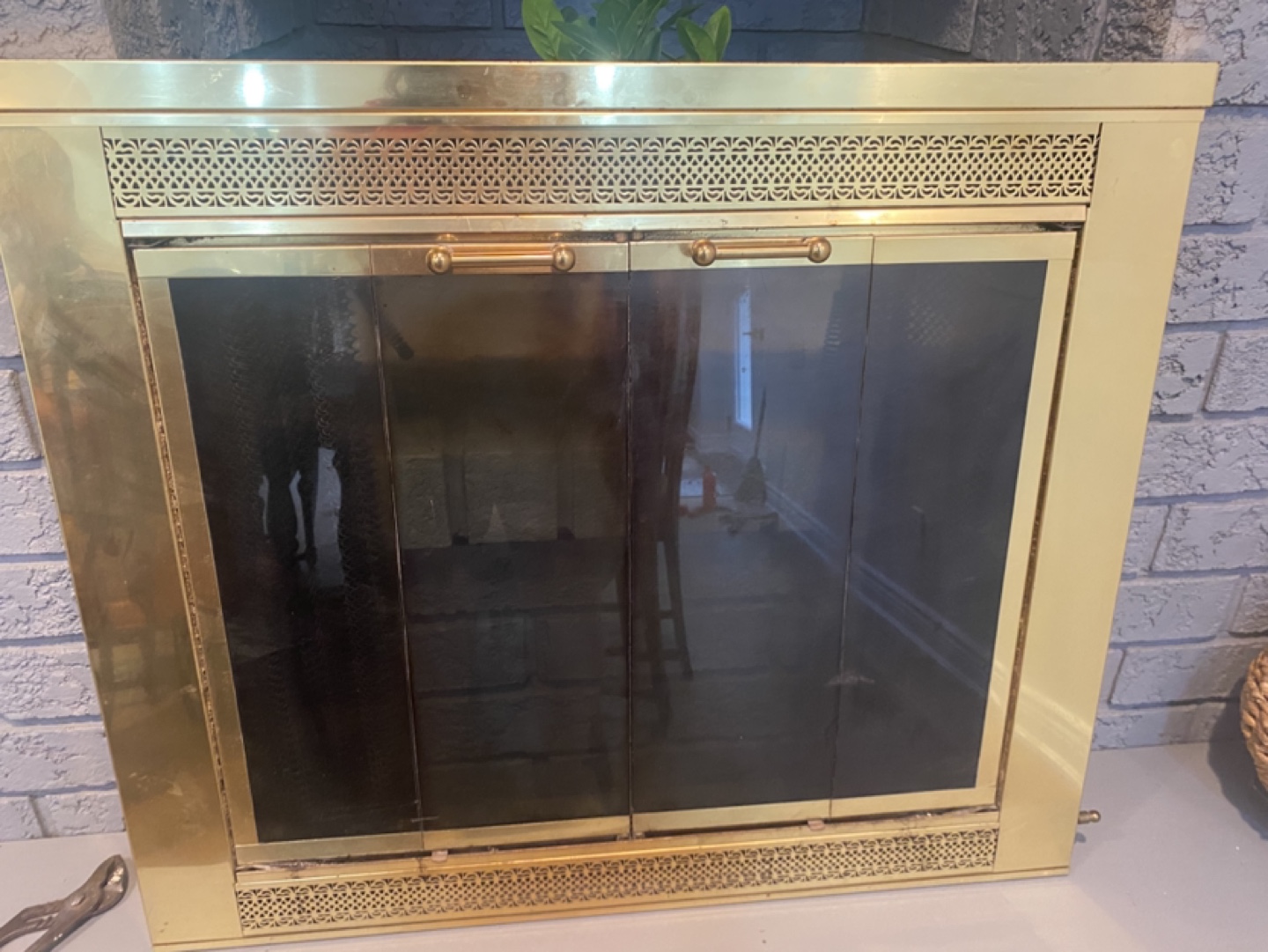Fireplace Screen Doors - Brass Frame