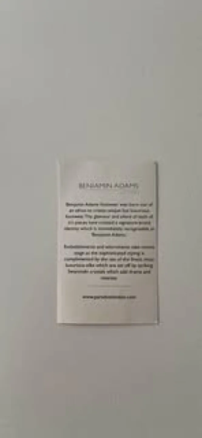 Ivory Silk Shoes - Size 9 image indicator(4)