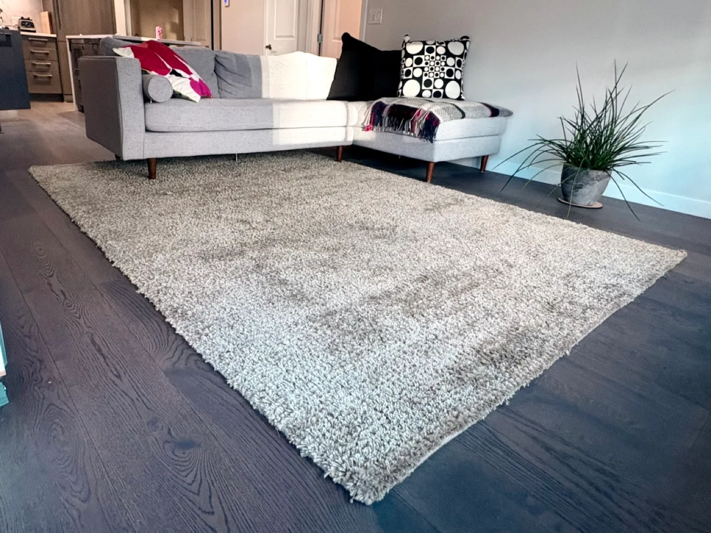 Pure wool carpet 9x6’6” bought at inform 1500 thumbnail
