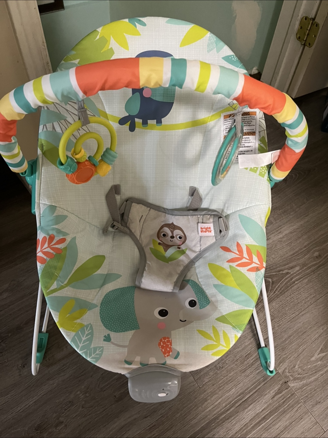 Bright Starts Baby Bouncer