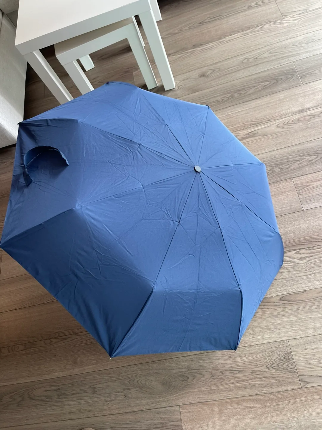 Blue Umbrella thumbnail