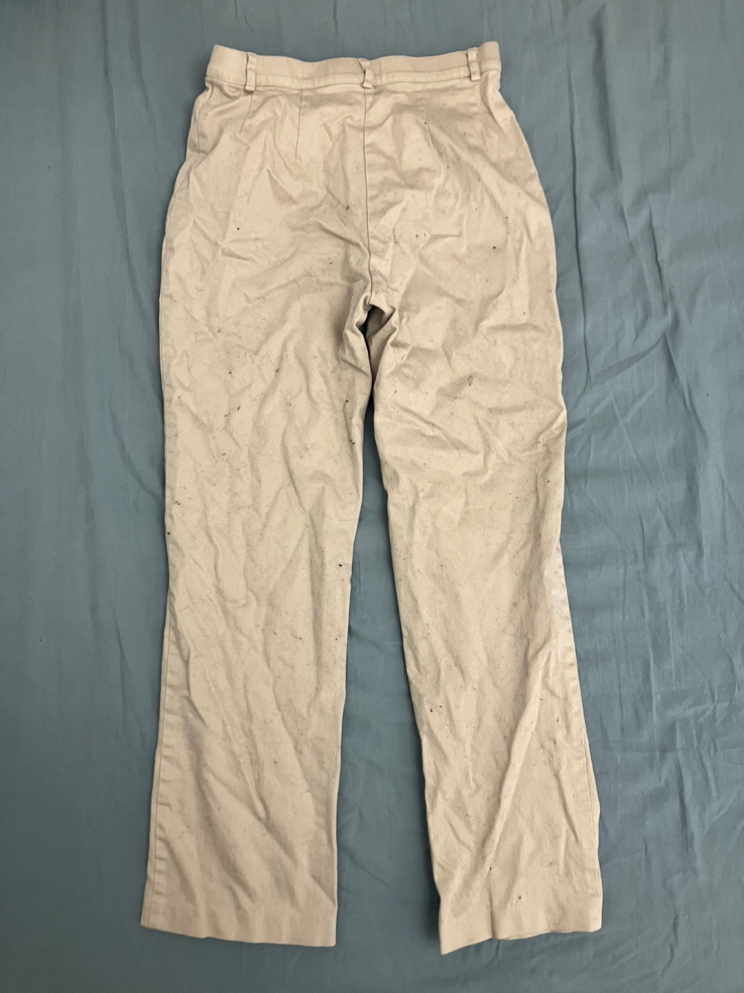 Northern Reflections Ankle Pants - Size 4 - photo 2
