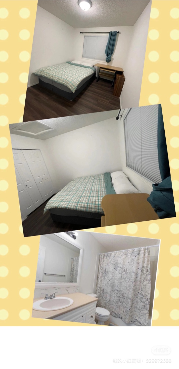 Private bedroom for rent