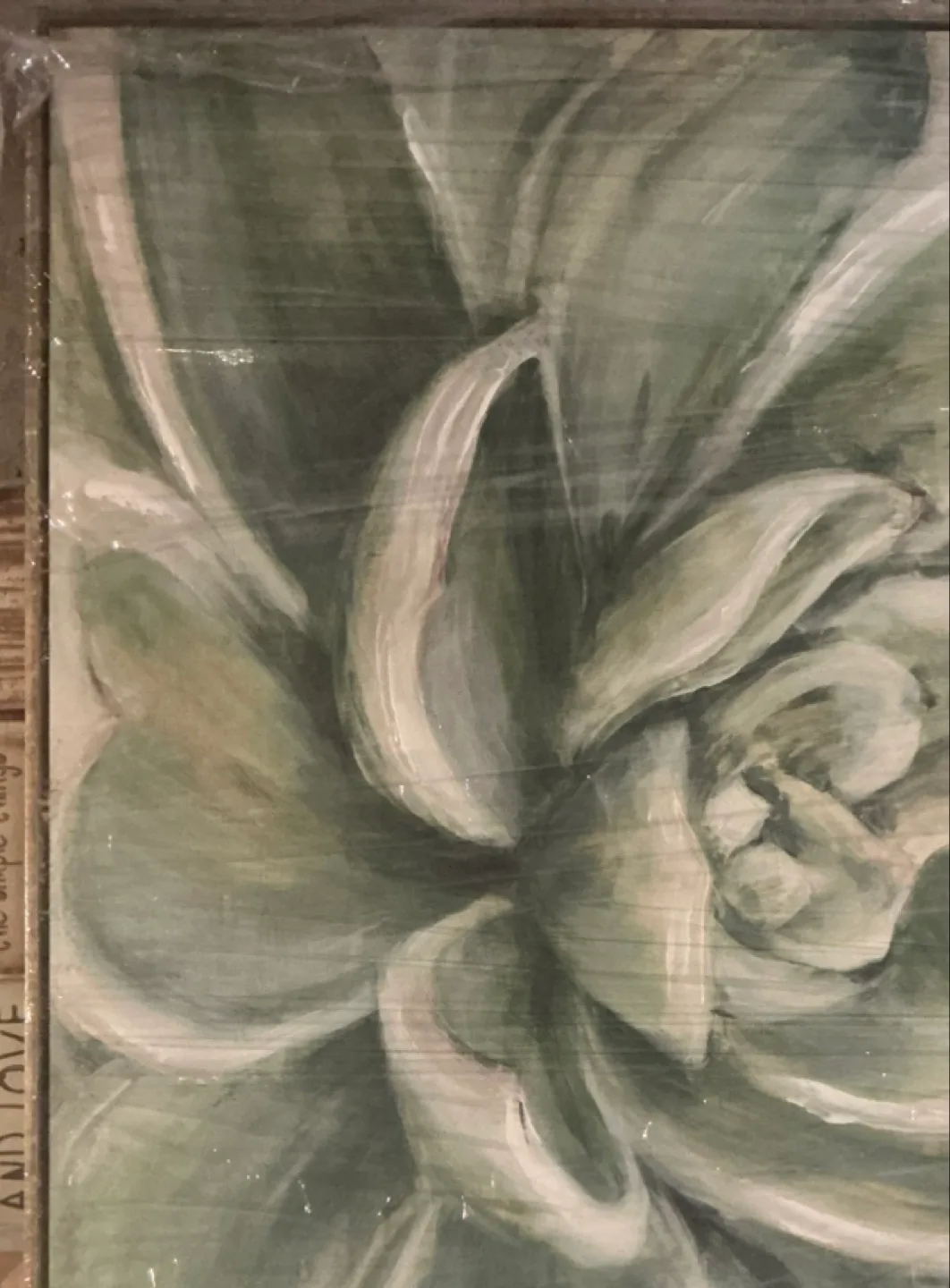 Succulent Wall Art thumbnail