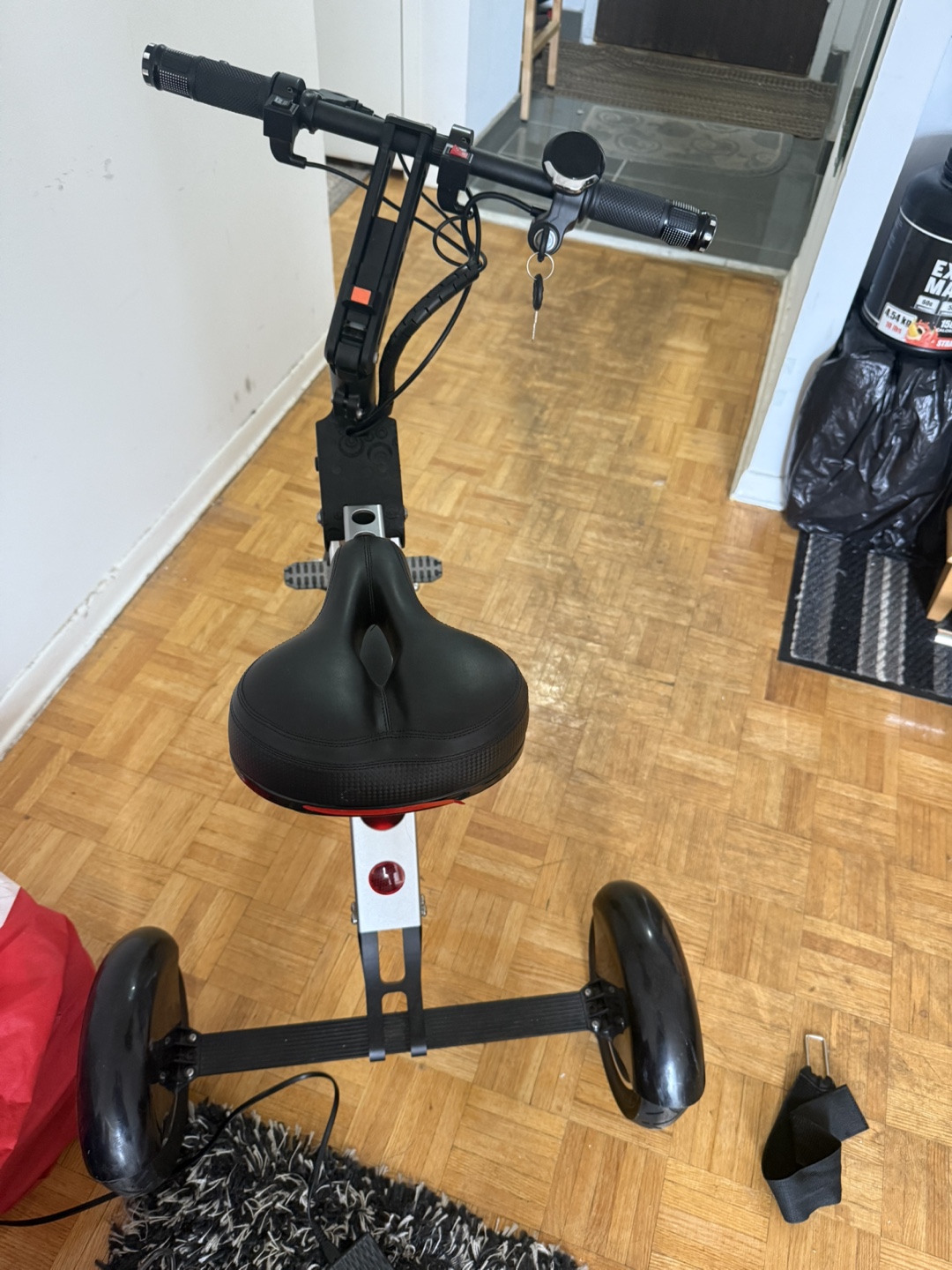 3 Wheel Electric Scooter
