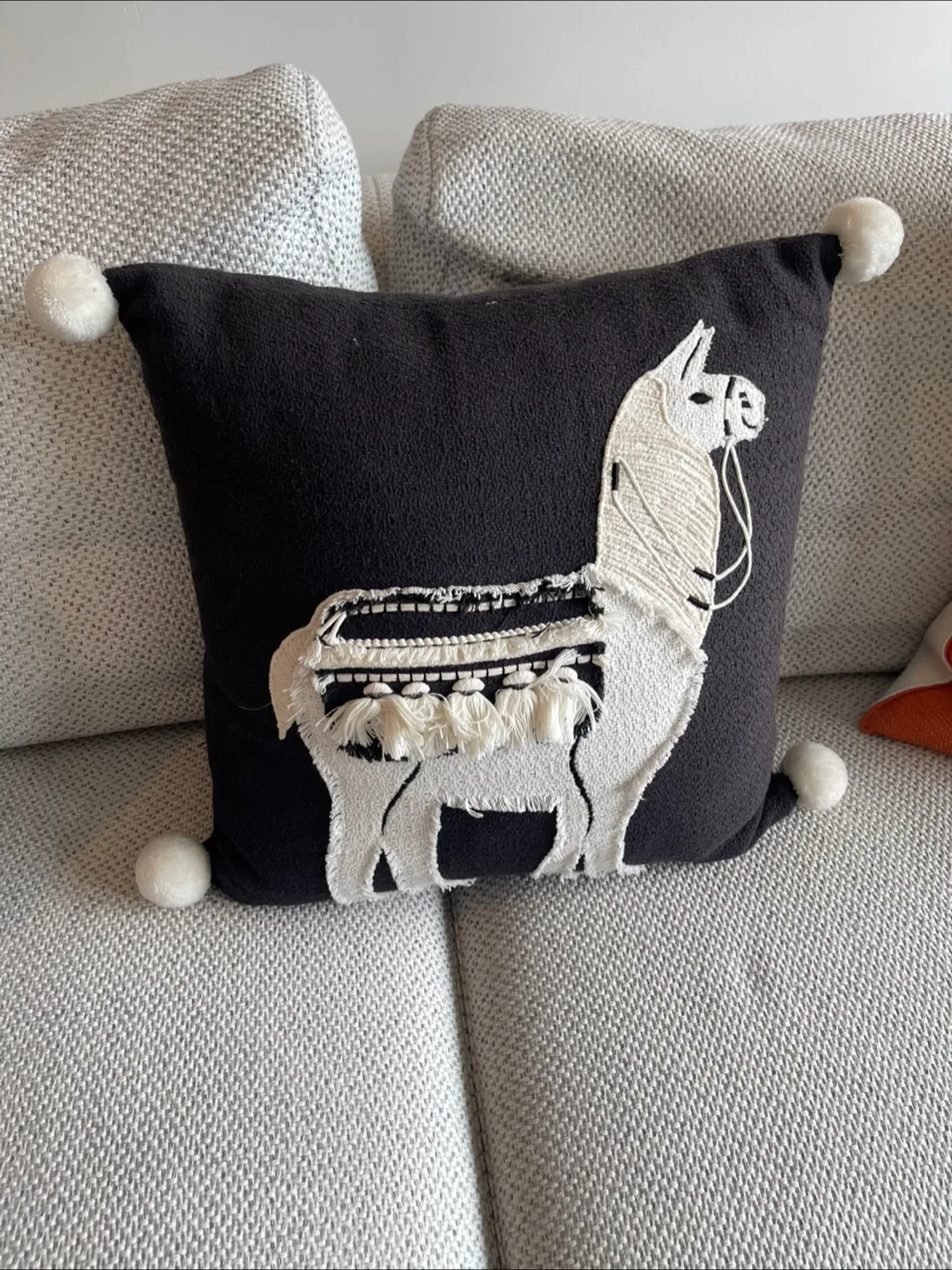 Decorative Throw Pillows - assorted - $20 each thumbnail