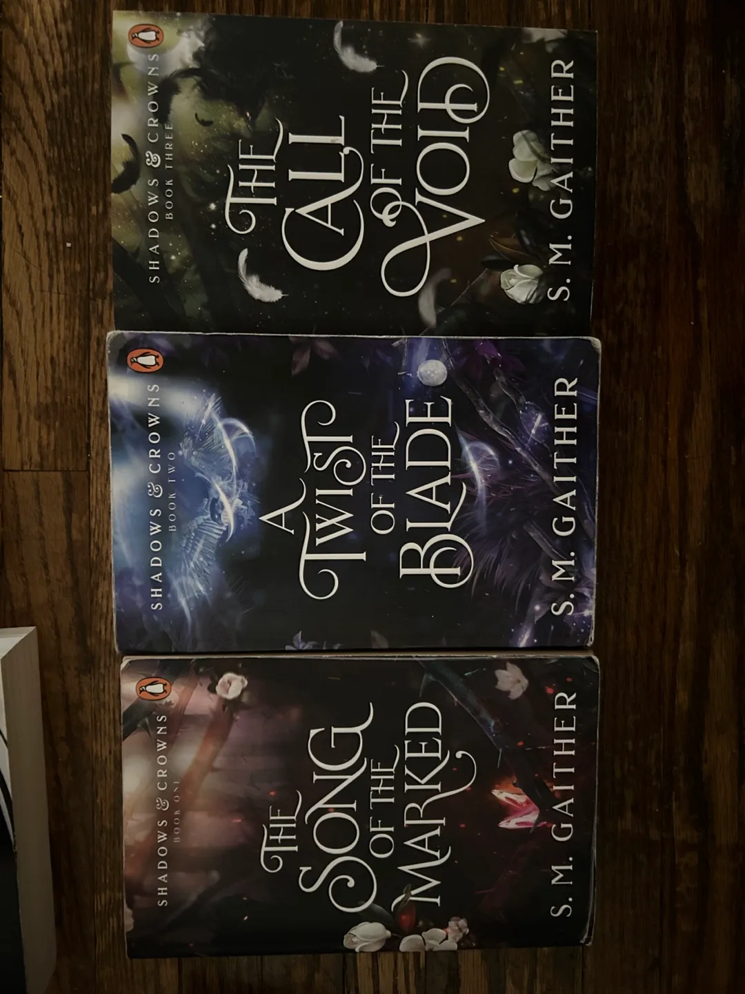 Shadows & Crowns Series by S.M. Gaither thumbnail