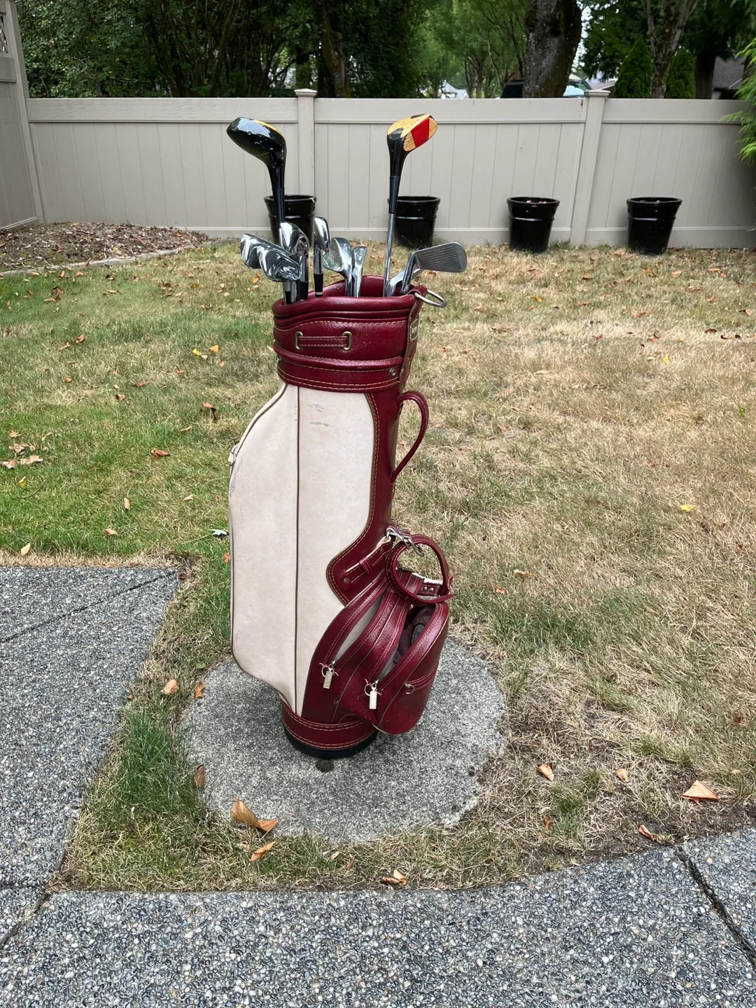 Incomplete set of Golf Club with Bag image indicator(3)