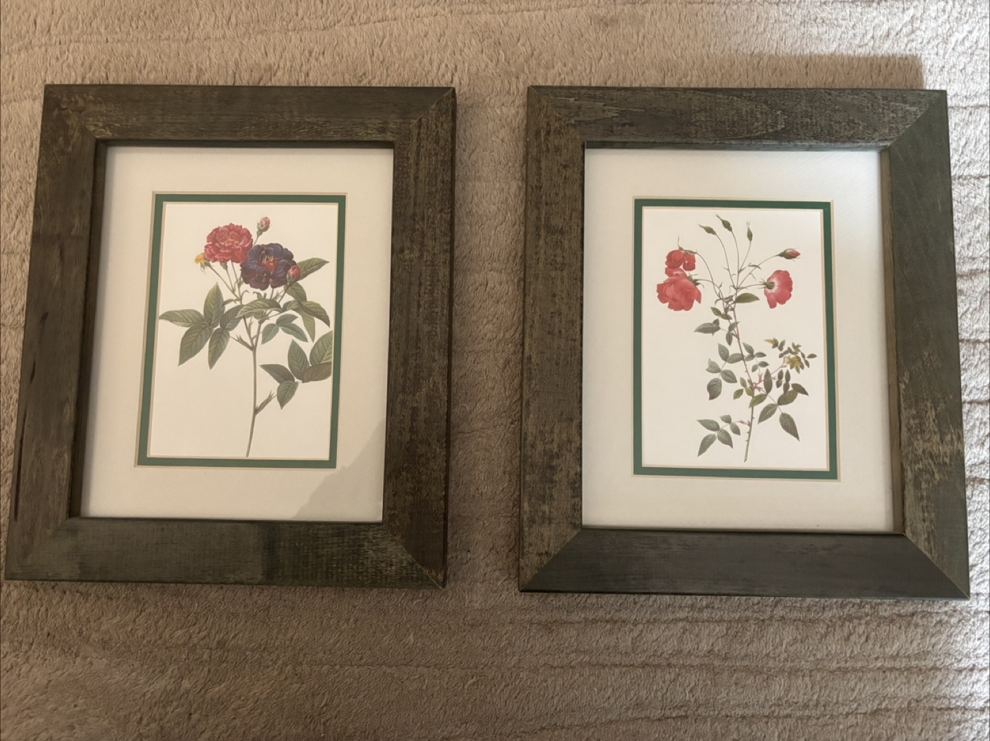 Framed botanical prints - set of 2