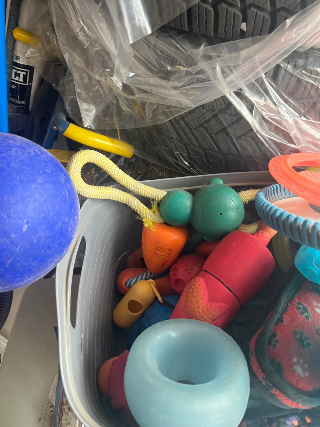 Dog Toys - Assorted image indicator(2)