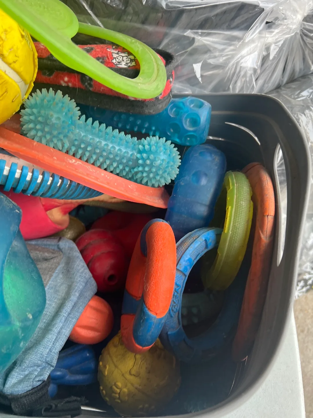 Dog Toys - Assorted image indicator(4)