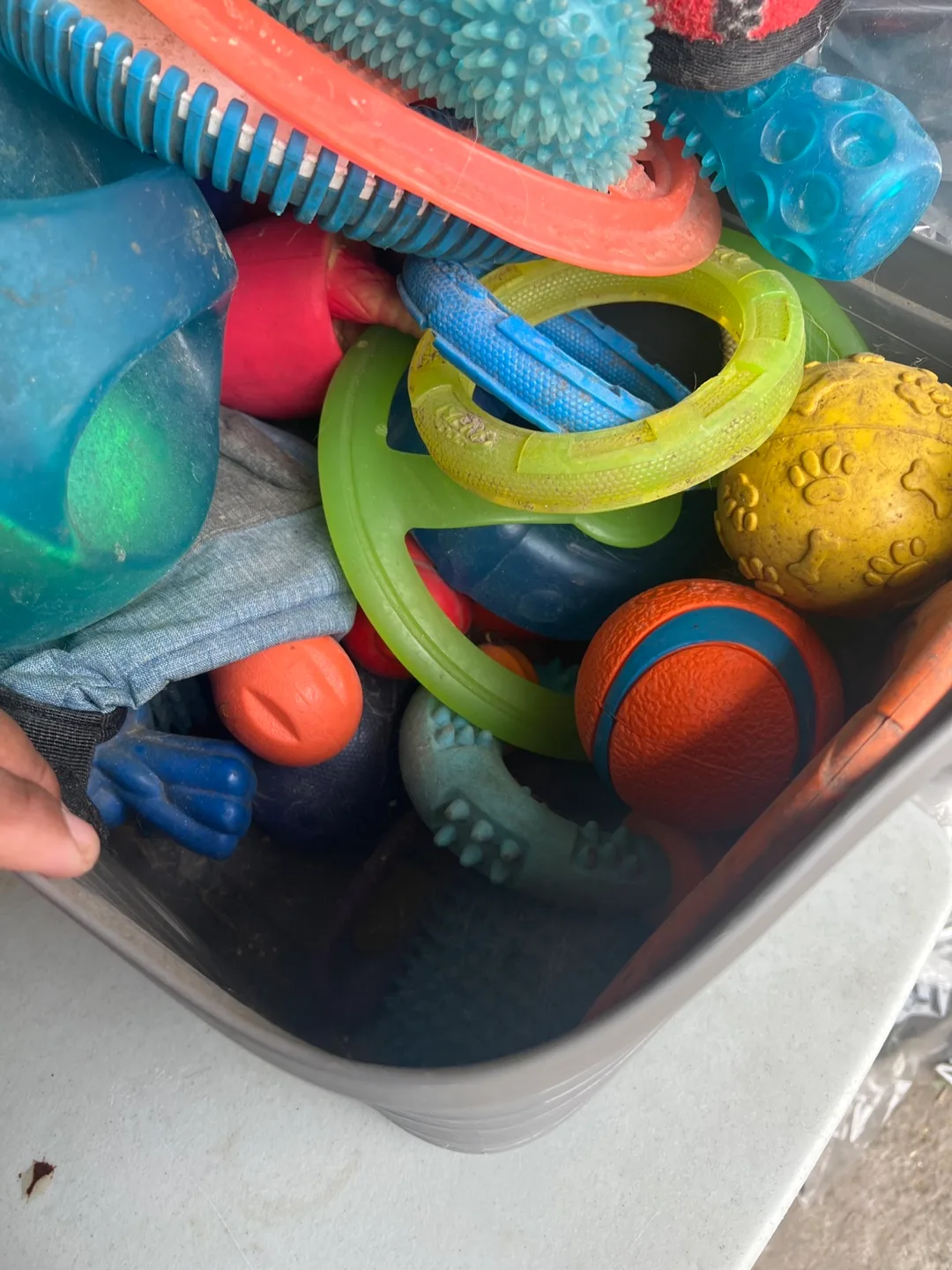 Dog Toys - Assorted image indicator(3)