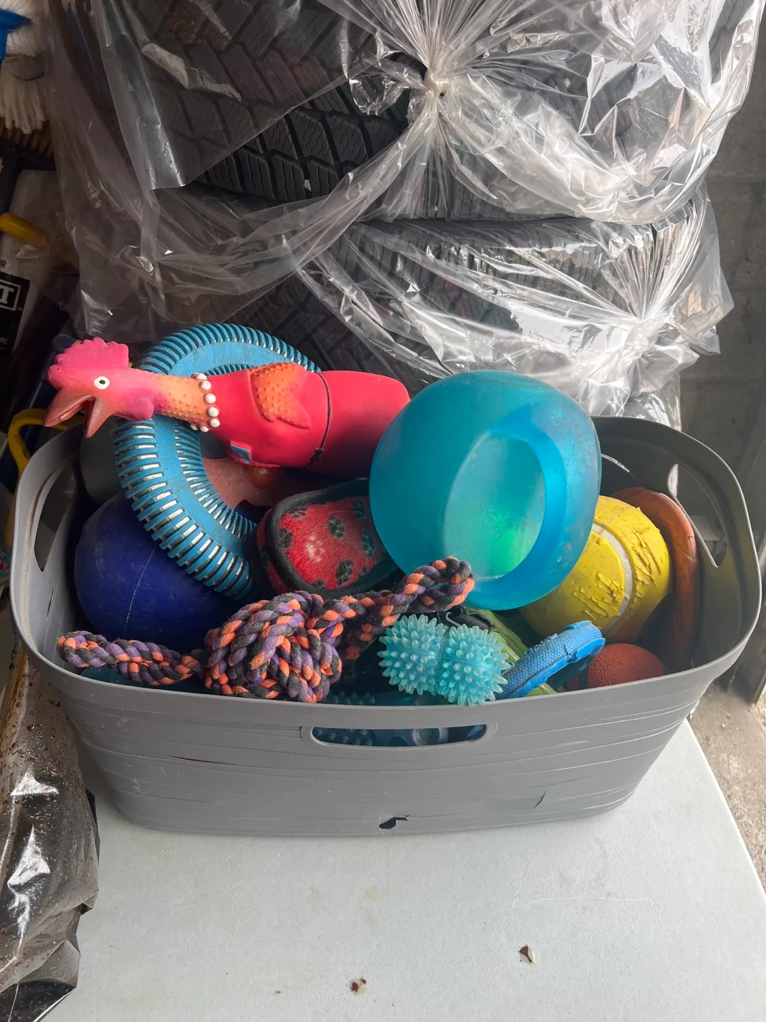 Dog Toys - Assorted thumbnail