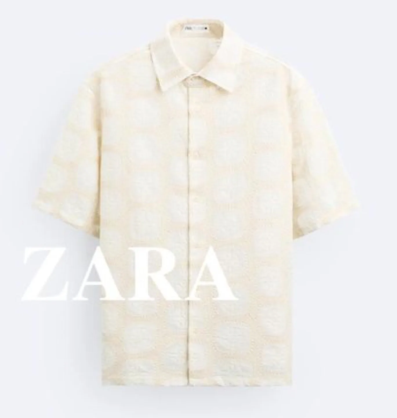 ZARA Crochet Embroidered Polo Shirt (M) thumbnail