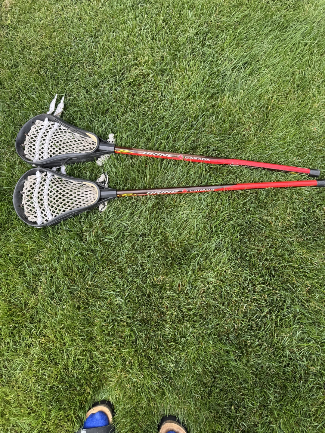 Brine Lacrosse Sticks -  Pair