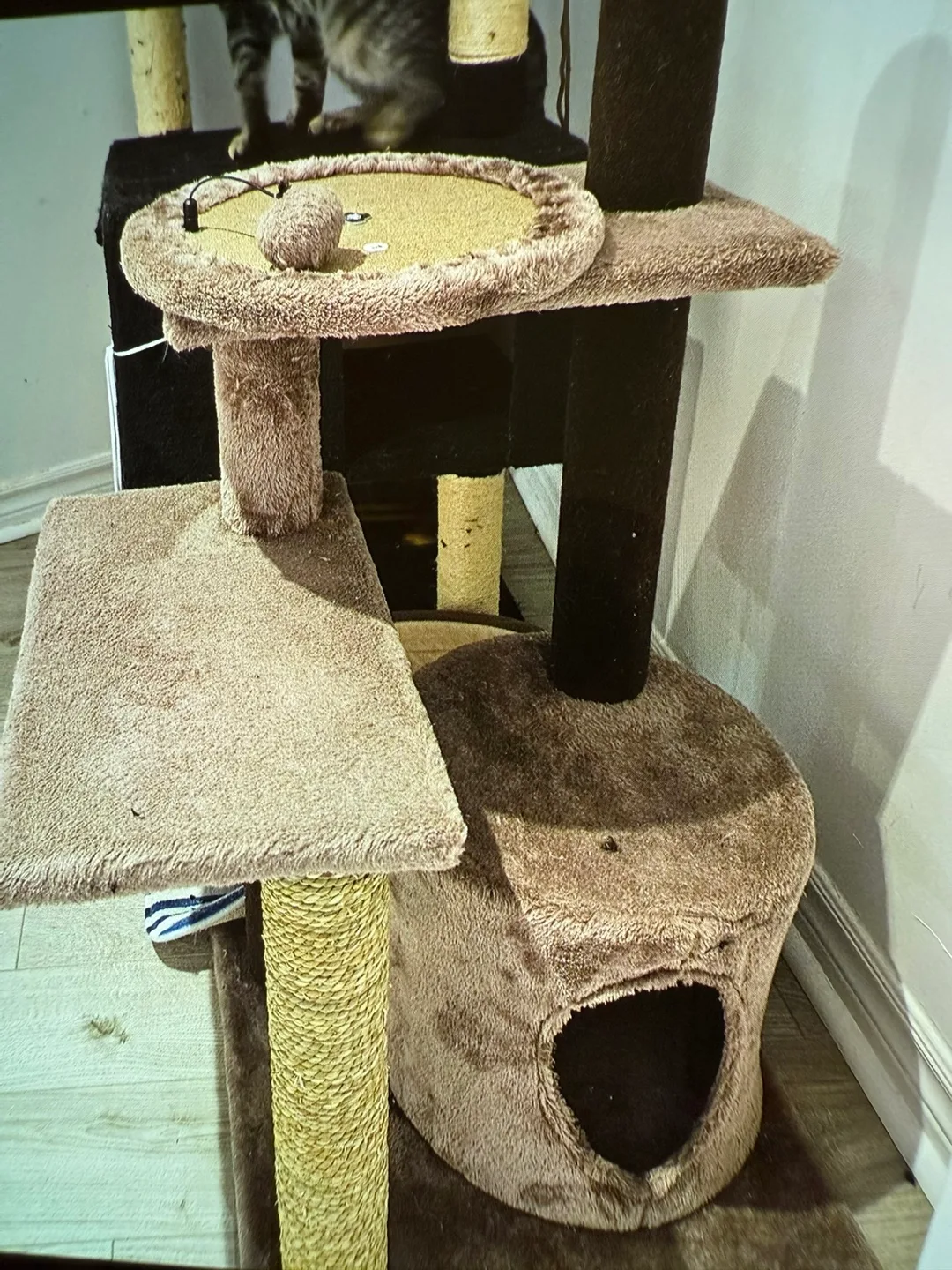 Cat Tree with Scratching Post thumbnail