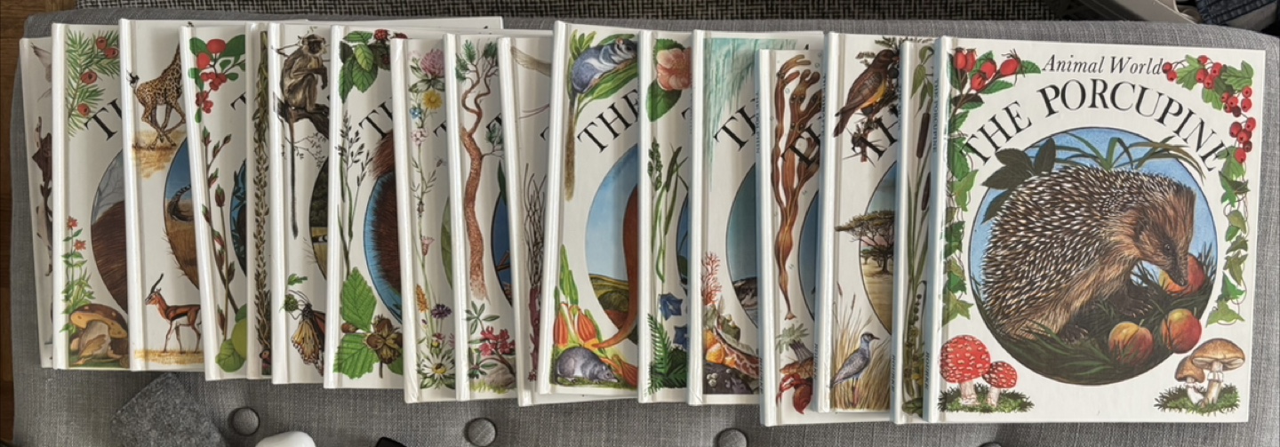 Rourke Animal World Book Collection