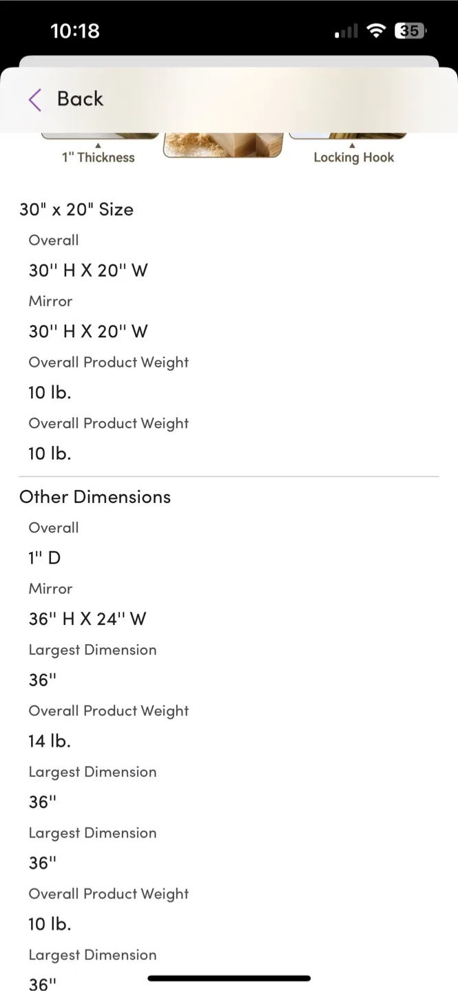 BNIB Window Pane Mirror, 30" x 20" image indicator(5)