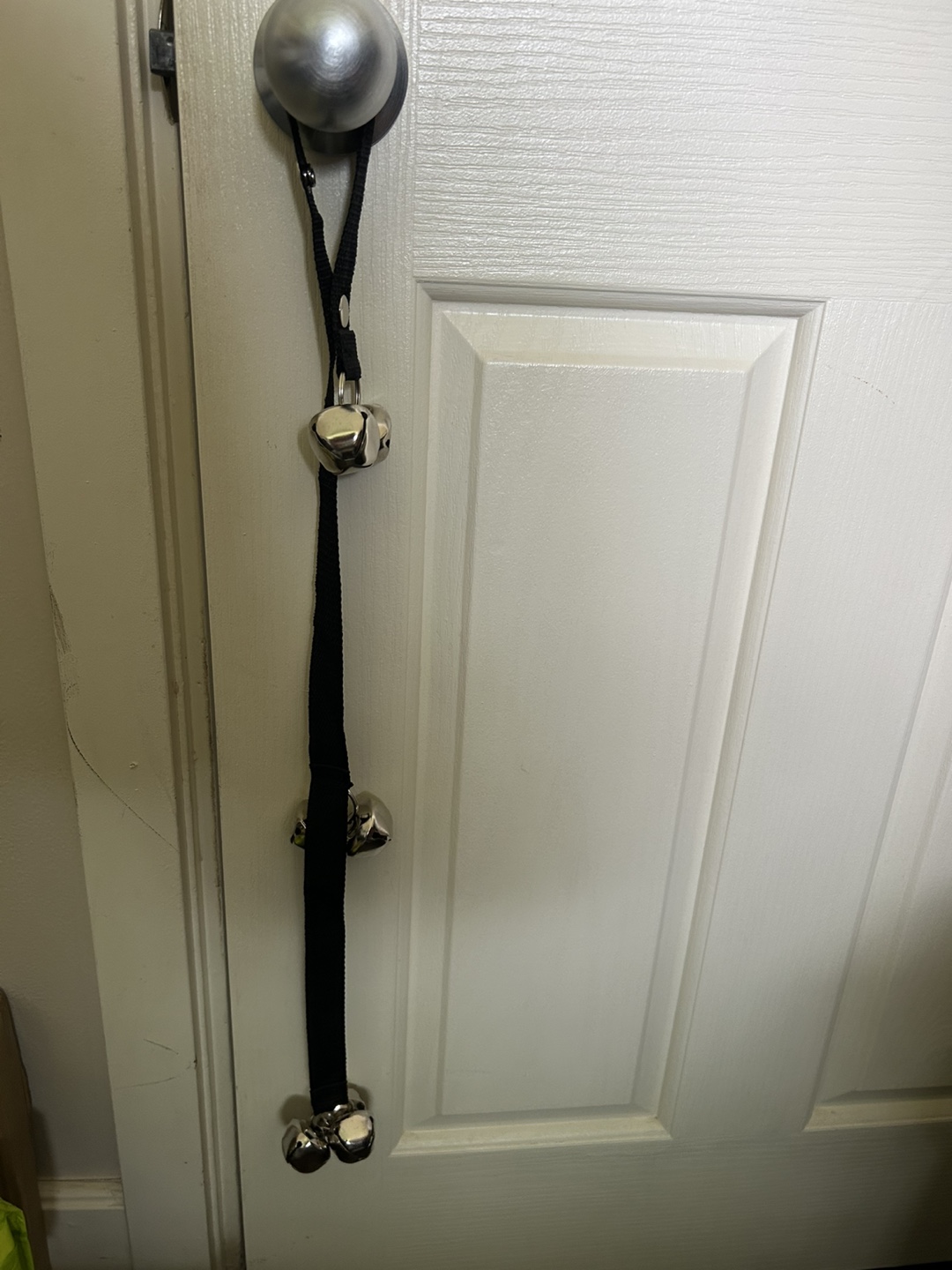 Hanging Bells - Pet Training